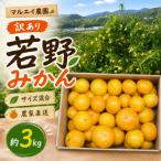 訳あり 小玉若野みかん 2S-3Sサイズ 約3kg