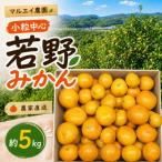 小粒 2S~3S 完熟 若野みかん 約5kg