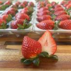 ふるさと納税 上里町 埼玉県限定品種あまりん 約500g