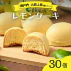 レモンケーキ 30個
