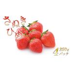いちごのお姫様 さぬきひめ 約250g×4パック