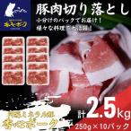 香心ポーク ミンチ 約250g×10パック
