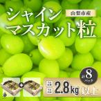 シャインマスカット 粒 約2.8kg