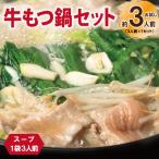 牛もつ鍋セット スープ付 お試し 約3人前