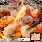 牛 ホルモンセット 500g