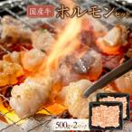 牛 ホルモンセット 1000g