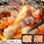 牛 ホルモン二種セット1000g ホルモン