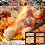 牛 ホルモン二種セット2000g ホルモン