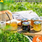 九州果実 ジャム 詰め合わせ 5種