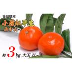 小原紅早生みかん 約3kg