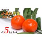 小原紅早生みかん 約5kg