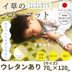 フローリングの上でも使える◎子供用ふっくら寝ござ