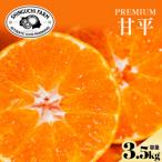 ショッピング甘平 ふるさと納税 八幡浜市 太陽の恵みがギュッと凝縮!【甘平3.5kg】弾ける甘さとシャキッと食感!【E70-143】