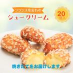 ミニヨンシュークリーム20個入