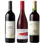 蒼龍葡萄酒 赤ワイン3本セット