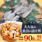 イカ 醤油 漬け丼 5パック