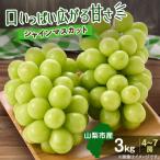 ふるさと納税 山梨市 【2026年発送】やみつきシャインマスカット 3kg(4〜7房)