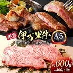 特選伊万里牛A5 霜降りサーロイン600g 300g×2枚入