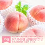 ショッピングふるさと納税 桃 ふるさと納税 村山市 かため白桃おまかせ 桃 品種おまかせ 約2kg(5-9玉)