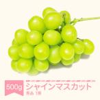 シャインマスカット秀品 500g