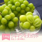 シャインマスカット 秀品 1.4kg