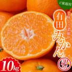 こだわりの有田みかん 約10kg