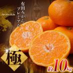極 有田みかんプレミアム 約10kg