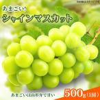 あまごい シャインマスカット 500g