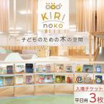 自然を感じる遊び場 KIRI no KO 入場券3枚