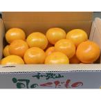 ふるさと納税 印南町 地元印南町産の完熟温州みかん約2.5kg(S〜Lサイズ)