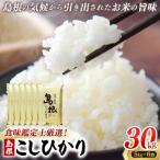 食味鑑定士厳選 島根こしひかり 30kg