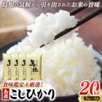 食味鑑定士厳選 島根こしひかり 20kg