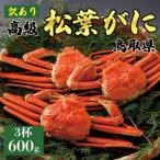 ふるさと納税 琴浦町 【2025年12月〜2