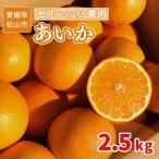 中島産 あいか48号 紅プリンセス と同品種 2.5kg