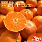 せとか B品 5kg