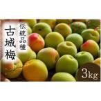 ショッピングふるさと納税 先行予約 ふるさと納税 田辺市 【先行予約】 青梅【古城梅】 3kg(2026年5月より順次発送予定)/ 生梅【tcs020】