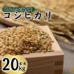 令和8年産 水野農園のコシヒカリ 玄米20kg 5kg×4袋