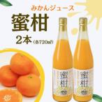 みかんジュース 蜜柑 2本