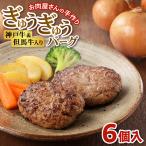 ぎゅうぎゅうバーグ6個入