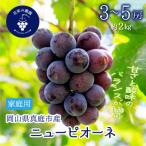 岡山 花笑み農園のニューピオーネ 約2kg