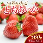 完熟いちご とちあいか 約560g