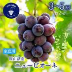岡山 花笑み農園のニューピオーネ 約2kg