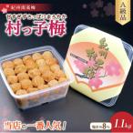 梅干し 紀州南高梅干しはちみつ梅干し 1.1kg