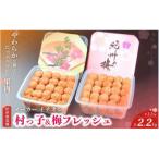 紀州南高梅セット 村っ子梅 梅フレッシュ 各1.1kg×2