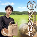 ふるさと納税 酒田市 ひとめぼれ 玄米 5kg 令和7年産米 山形県酒田産