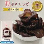 fu.... налог город Kawaguchi .. иудино ухо сырой иудино ухо 1000g Saitama префектура производство 