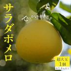 でっかいおいしさ サラダポメロ 超大玉 1個