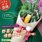 野菜ブーケと情熱野菜セット9品 通常 メッセージカードつき