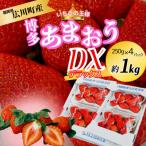 いちご あまおうDX等級 2ケース 約250g×4パック