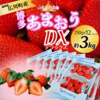 いちご あまおうDX等級 6ケース 250g×12パック
